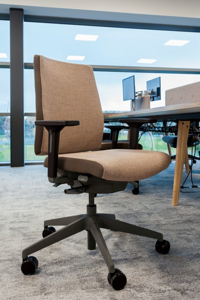 Ergonomic Home Office Desk Chair